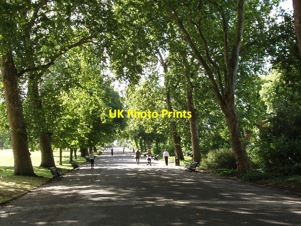 Photo 6"x4" Trees shade Regent's Park Broad Walk Camden Town c2008