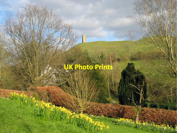 Photo 6"x4" Glastonbury Tor from Chalice Well Glastonbury c2008