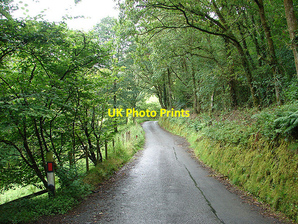 Photo 6"x4" The lane from the A4120 road to Nantyronen Station and Aberffrwd Llanfihangel-y-Creuddyn c2008