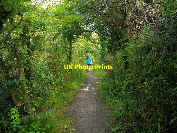 Photo 6"x4" Path to Old Town, St. Mary's Hugh Town c2008