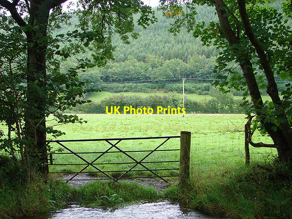 Photo 6"x4" Pasture beside Afon Melindwr Maes-bangor c2008