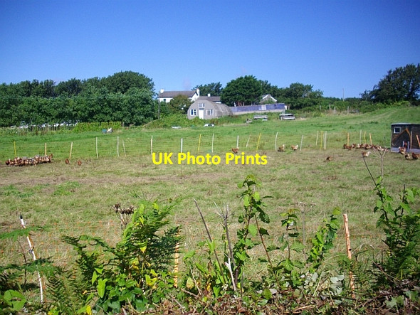 Photo 6"x4" Parting Carn Hugh Town c2008