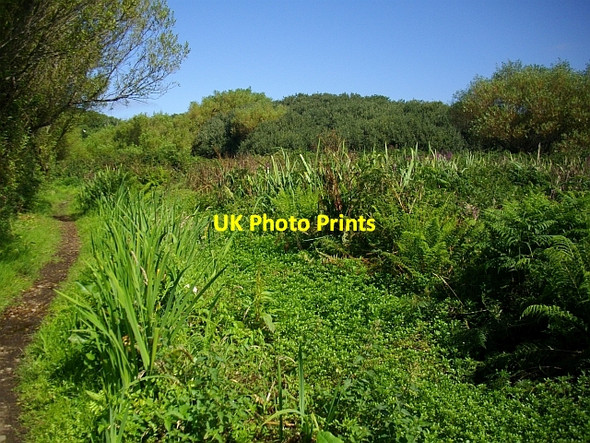 Photo 6"x4" Holy Vale Nature Trail, St. Mary's Hugh Town c2008