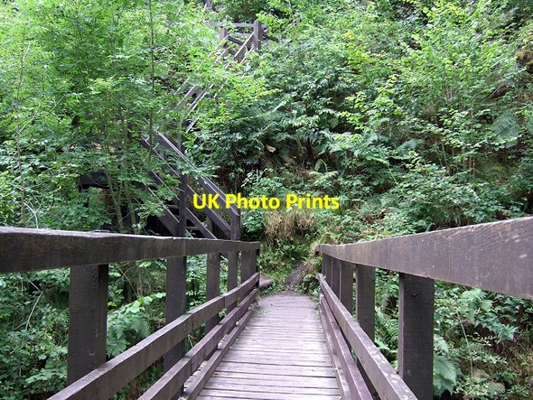 Photo 6"x4" Footbridge over Nant Llech heading towards Henrhyd Waterfall Coelbren c2008