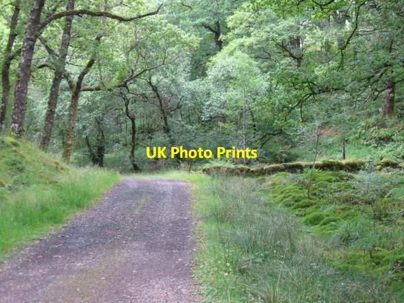 Photo 6"x4" Wall on track down to Elleric, Glen Creran Fasnacloich c2008