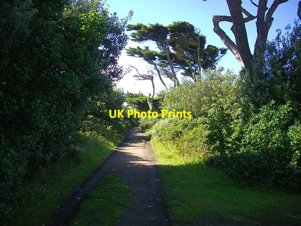 Photo 6"x4" Track through the Garrison, St. Mary's Hugh Town c2008