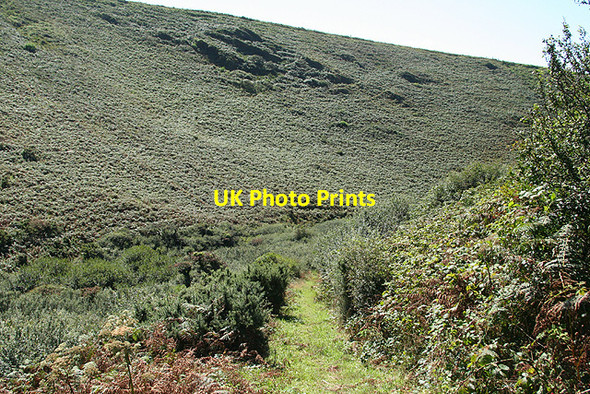 Photo 6"x4" St Teath: path from Tregragon Dannonchapel c2008