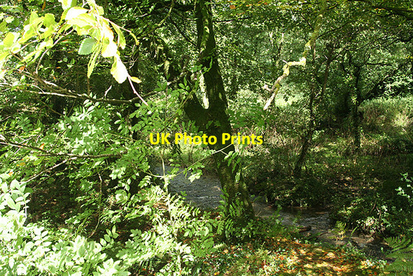 Photo 6"x4" Camelford: river near Lanteglos Lanteglos c2008