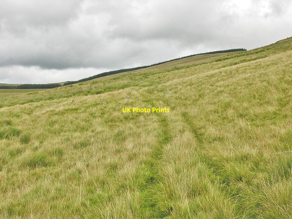 Photo 6"x4" Bridleway heading for Cistfaen Craig y Lluest c2008