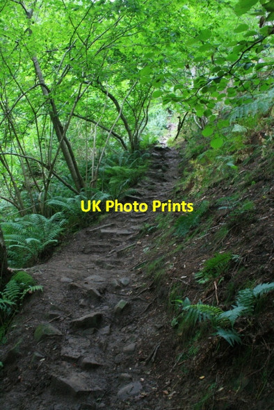 Photo 6"x4" Ascending Parkin Clough Ashopton c2008