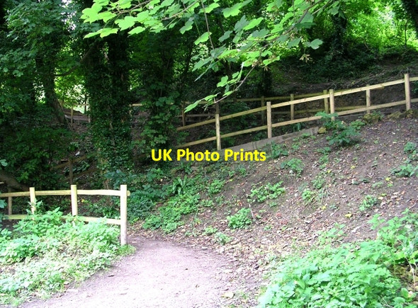 Photo 6"x4" Footpath leading from Weir - Avoncliff Bradford-On-Avon c2008
