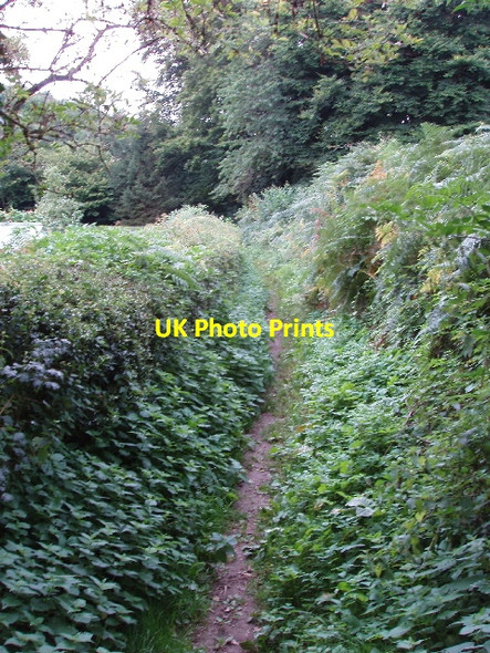 Photo 6"x4" Bridleway by Hill Green, near Little Marlow Cressex c2008