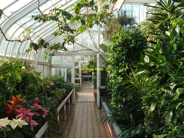 Photo 6"x4" Tollcross Park - inside the Winter Gardens Braidfauld c2006