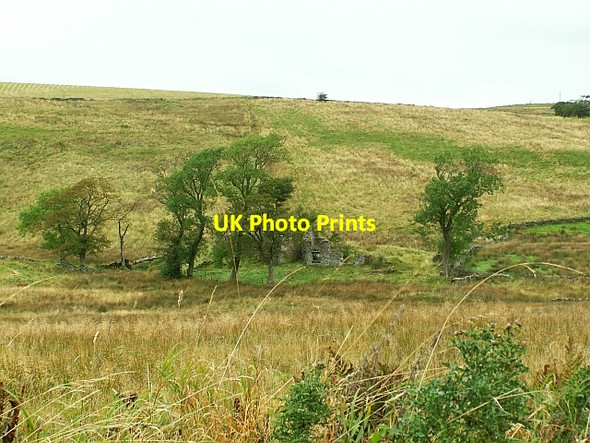 Photo 6"x4" Ruined building at Cleskett Holme Forest Head c2007