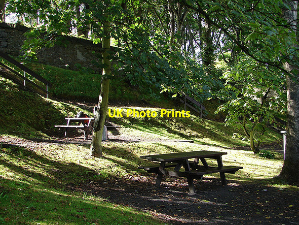 Photo 6"x4" Secluded glade Wick\/ND3650 c2008