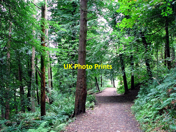 Photo 6"x4" Cave Hill Country Park, Belfast Newtownabbey c2008