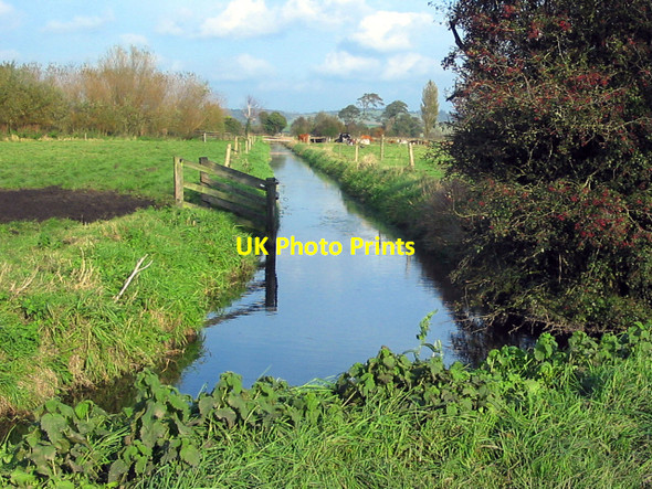 Photo 6"x4" Rhyne (drainage ditch) near the Sedgemoor battle site Bussex c2007