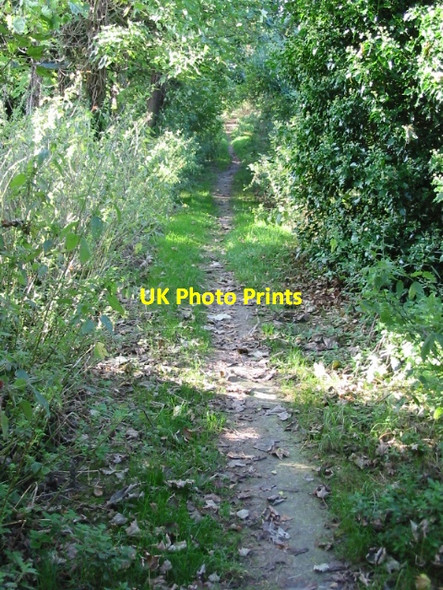 Photo 6"x4" Looking S along footpath between Monkton and the River Stour Gore Street c2008