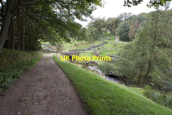 Photo 6"x4" Track leading to Brandstone Bridge Ashfold Side c2008