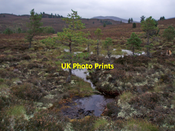 Photo 6"x4" Boggy Moorland Duthil c2008