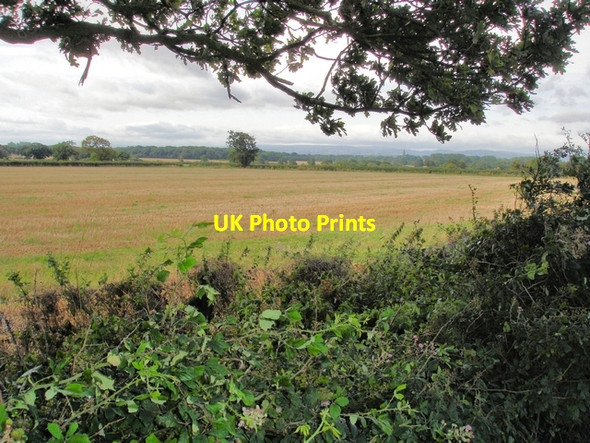 Photo 6"x4" Saighton - view from bridleway 10 Bruera c2008