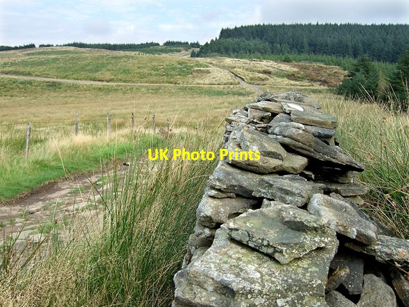 Photo 6"x4" Sarn Helen Roman Road, Hirfynydd Nant-y-cafn c2008
