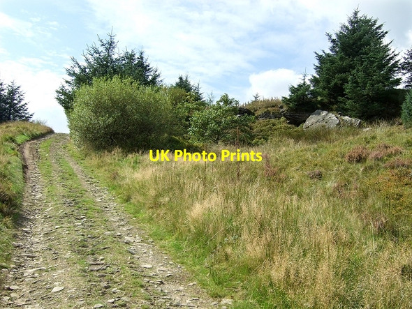 Photo 6"x4" Sarn Helen Roman Road Crynant\/Creunant\/SN7905 c2008