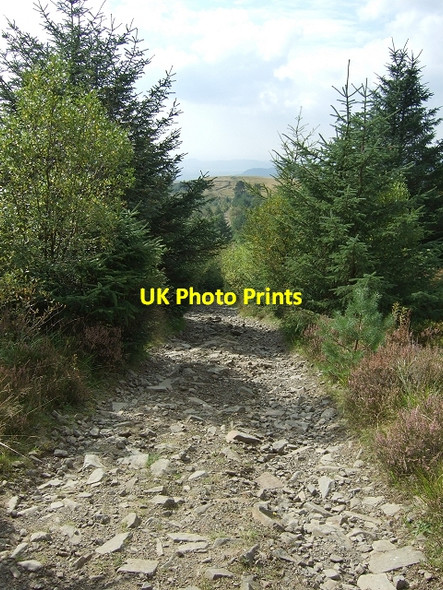 Photo 6"x4" Sarn Helen Roman Road Crynant\/Creunant\/SN7905 c2008 P1
