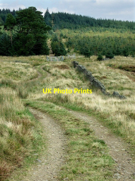Photo 6"x4" Cerdded Bro Nedd, Sarn Helen Roman Road Abergarwed c2008 P1