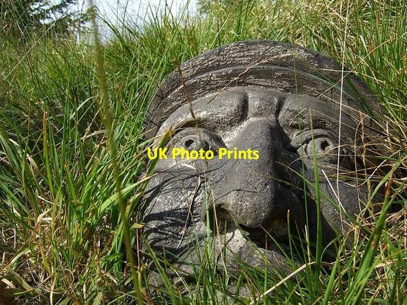 Photo 6"x4" Face of Stone, Sarn Helen Roman Road Crynant\/Creunant\/SN7905 c2008