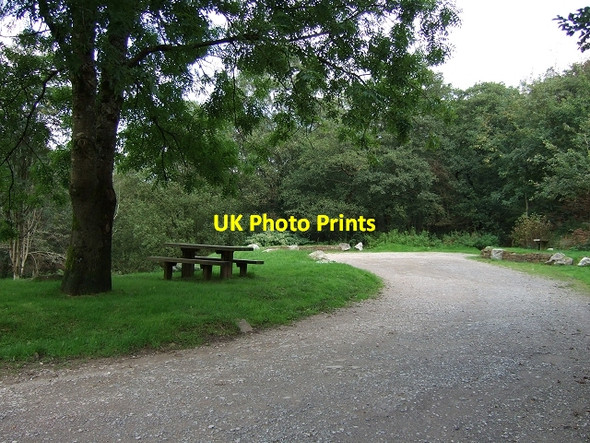 Photo 6"x4" Crynant Forestry Walk, Picnic Site Crynant\/Creunant\/SN7905 c2008
