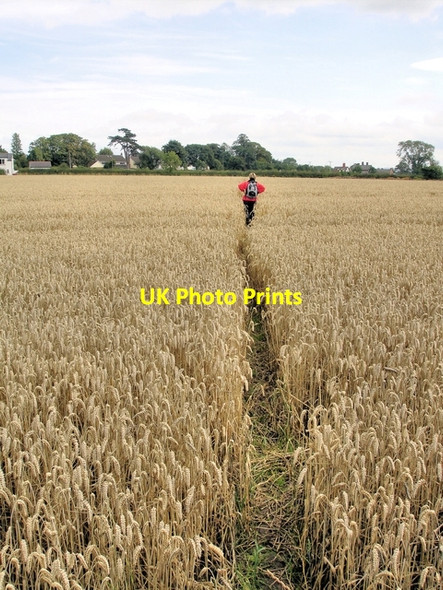 Photo 6"x4" Waverton - footpath 1 Brown Heath\/SJ4564 c2008
