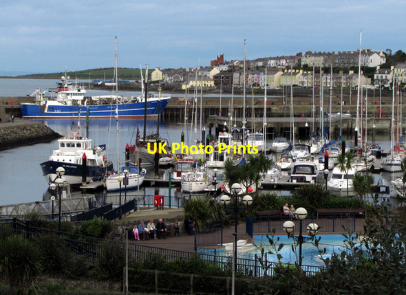 Photo 6"x4" Bangor marina and harbour Bangor\/J5081 c2008