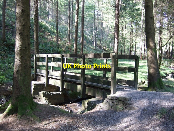 Photo 6"x4" Footbridge over Garw Fechan, Garw Forestry Walk Pontycymer c2008