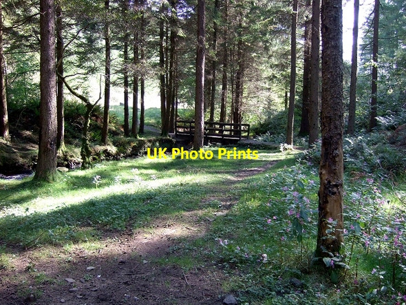 Photo 6"x4" Footbridge over Garw Fechan, Garw Forestry Walk Pontycymer c2008 P2
