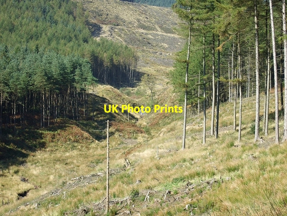 Photo 6"x4" Garw Fechan Waterfall, Garw Forestry Walk Pontycymer c2008