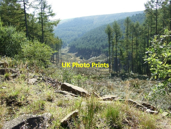 Photo 6"x4" Garw Fechan Winding Down, Garw Forestry Walk Pontycymer c2008