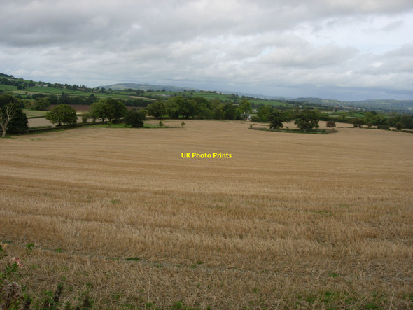 Photo 6"x4" Field in the vicinity of Wern Bacheldre c2008