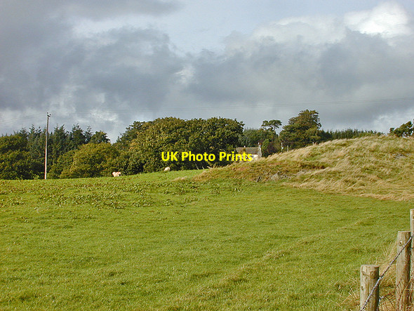Photo 6"x4" Field near Gorn Newydd farm Llanidloes c2008