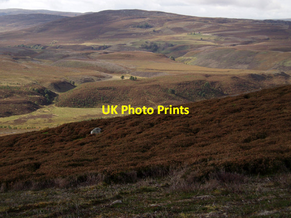 Photo 6"x4" Moorland on Gorton Hill Grantown-On-Spey c2008