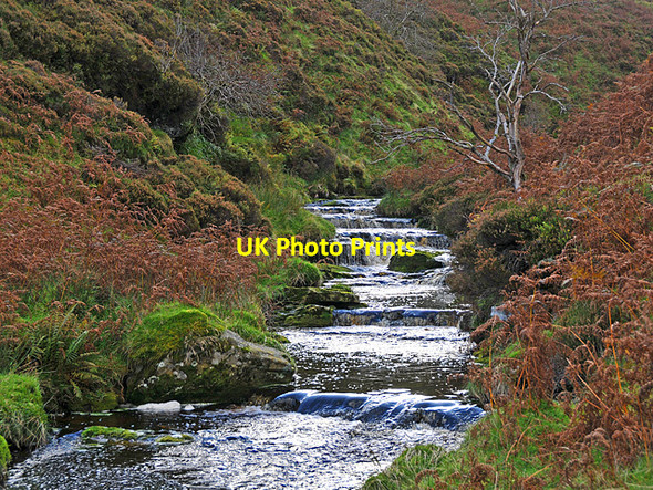 Photo 6"x4" The Arrevore Burn Arrevore Burn c2008 P1