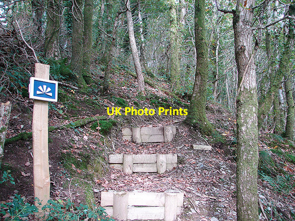 Photo 6"x4" Steps To The Viewpoint In Pant Da Nature Reserve Nantyronen Station c2008