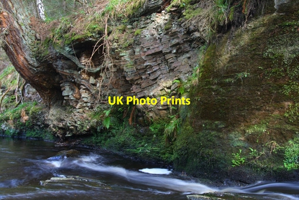 Photo 6"x4" Bank of Altyre Burn Logie\/NJ0150 c2008