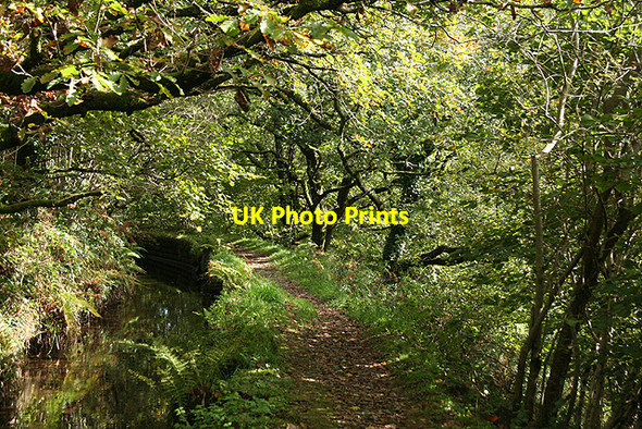Photo 6"x4" Mary Tavy: Hillbridge leat 3 Cudlipptown c2008
