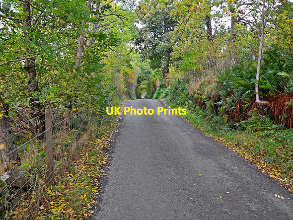 Photo 6"x4" South Loch Tay Road near Shenlarich Ardtalnaig c2008