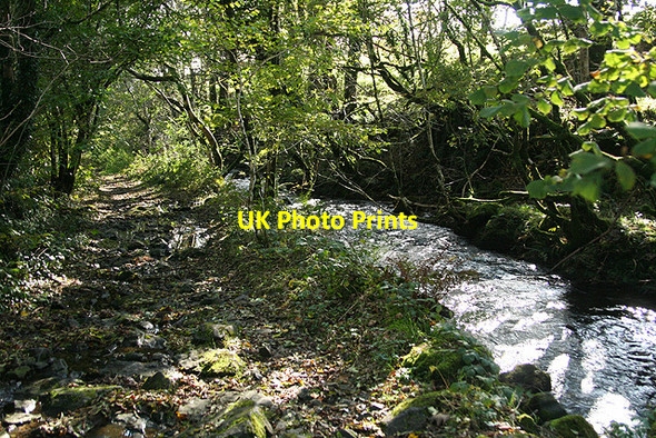 Photo 6"x4" Lydford: by the Willsworthy Brook Horndon c2008