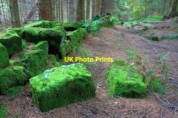 Photo 6"x4" Ruined Wall, Coate Moor Kildale c2008