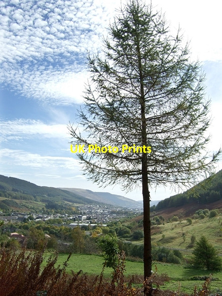 Photo 6"x4" Penpych Woodland Park Treherbert c2008 P1