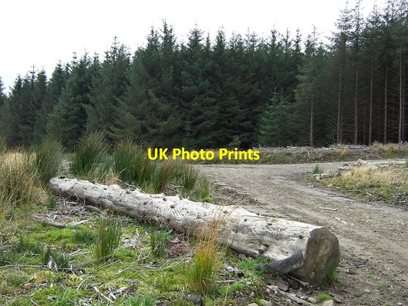 Photo 6"x4" Cwm Lluest Log, Stardate 2007.10 Blaenrhondda c2008