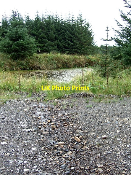 Photo 6"x4" Pond next to Rhondda Community Route, Chwarelau Blaencorrwg Blaenrhondda c2008